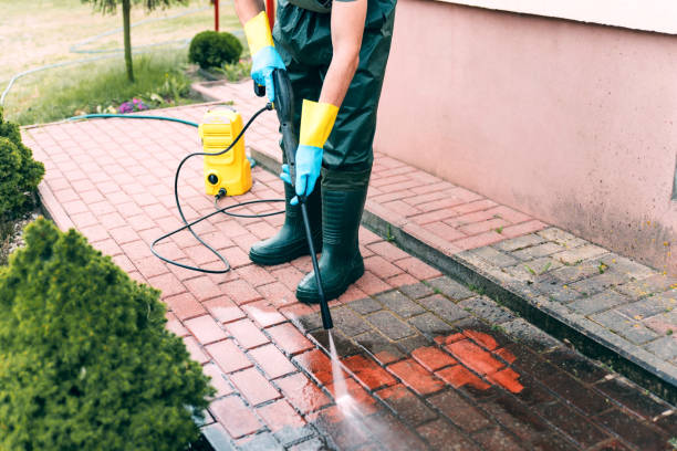 Best Roof Pressure Washing  in Taylors Falls, MN